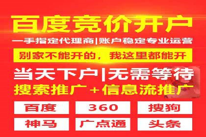 某电商平台的SEM推广实践与效果展示