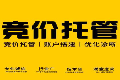 SEM搜索引擎优化成功案例，揭秘关键词优化技巧